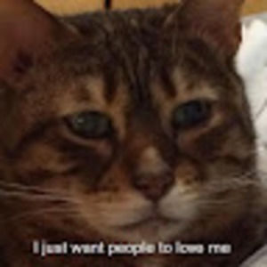 Meet your Posher, Jayla